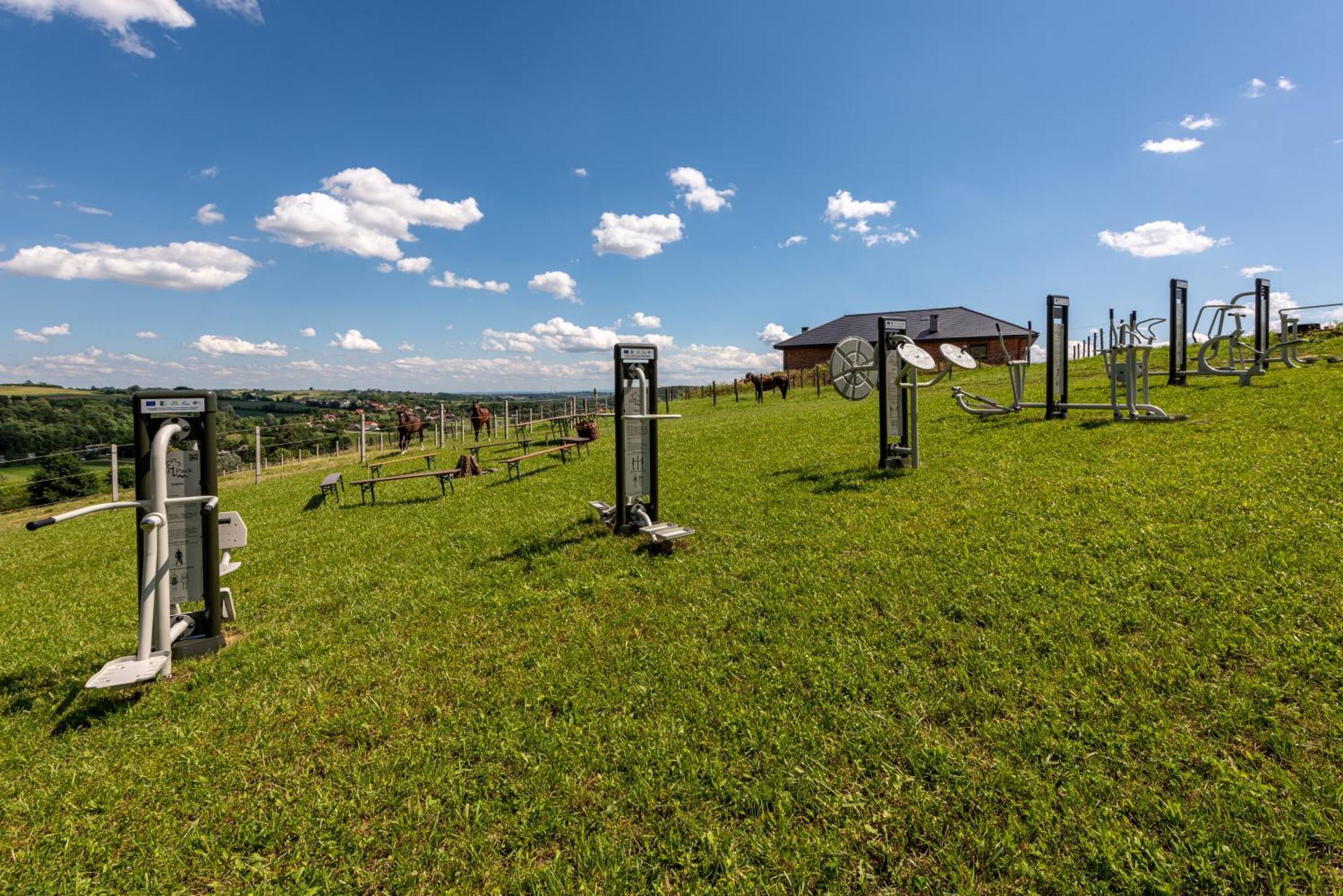 Hotel Szary Residence Michalowice  Kültér fotó